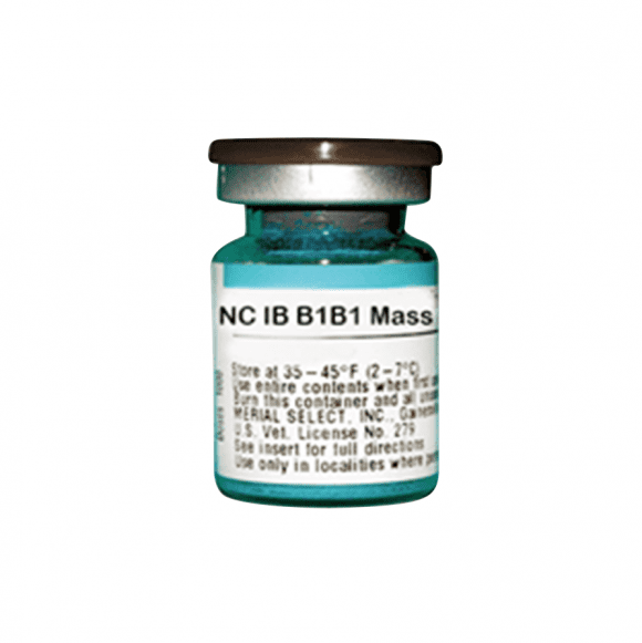 NC+-IB-B1B1-MASS