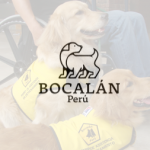 bocalan 2023